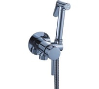 Смеситель с гигиенической лейкой Diadonna D47-19001
