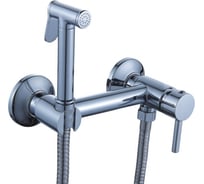 Смеситель с гигиенической лейкой Diadonna D47-19002