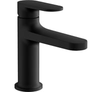 Смеситель для раковины BELZ черный B10713-7