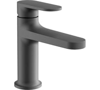 Смеситель для раковины BELZ оружейная сталь B10713-3