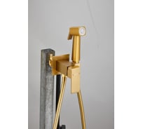Смеситель с гигиенической лейкой BELZ золотой B55805-5