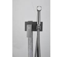 Смеситель с гигиенической лейкой BELZ оружейная сталь B55808-3
