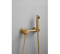 Смеситель с гигиенической лейкой BELZ золотой B55803-5