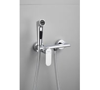 Гигиенический душ хром BELZ B55645