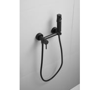 Смеситель с гигиенической лейкой BELZ черный B55803-7