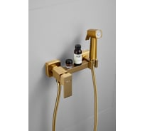 Смеситель с гигиенической лейкой BELZ золотой B55806-5