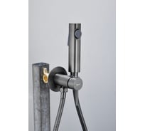 Смеситель с гигиенической лейкой BELZ оружейная сталь B55804-3