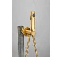 Смеситель с гигиенической лейкой BELZ золотой B55804-5