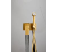 Смеситель с гигиенической лейкой BELZ золотой B55808-5