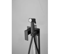 Смеситель с гигиенической лейкой BELZ черный B55808-7