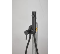 Смеситель с гигиенической лейкой BELZ черный B55804-7