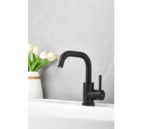 Смеситель для раковины BELZ черный B10810-7