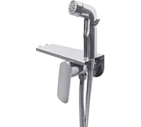 Смеситель скрытого монтажа ESKO Mexico с гигиеническим душем, арт. SMHMX