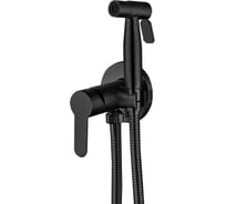 Смеситель для душа однорычажный встраиваемый с гигиеническим набором Agger ALFI черный AL04-7044