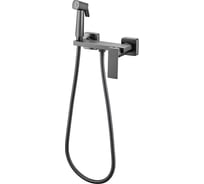 Гигиенический душ со смесителем Valfex латунь, Alsephina Graphite VF.5517-3