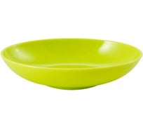 Мыльница SWENSA Trento зеленый, пластик SWP-0680GR-D