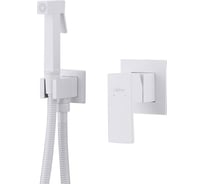 Смеситель с гигиеническим душем ABBER Daheim, белый матовый AF8225W