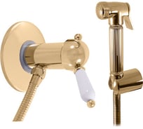 Смеситель для биде RavSlezak LABE тело скрытого монтажа, золотой L547/1Z