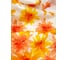 Штора для ванной Bath Plus BLAZE FLOWERS оранжевый 180x180 ch-13456W 2