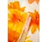 Штора для ванной Bath Plus BLAZE FLOWERS оранжевый 180x180 кольца 12шт akch-13456 5