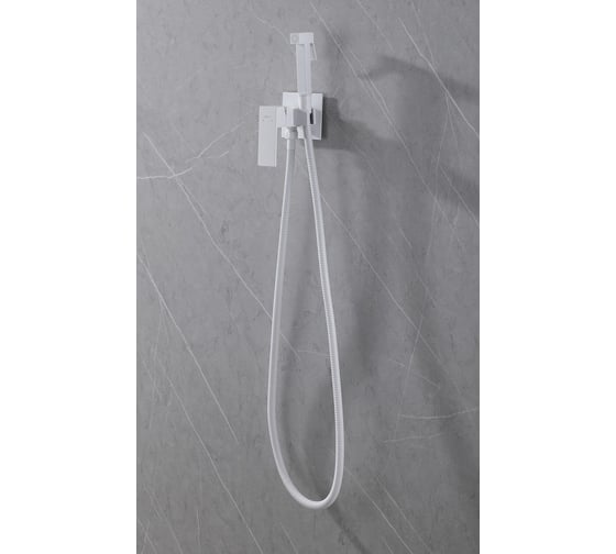 Смеситель ABBER Daheim с гигиеническим душем, белый матовый AF8226W