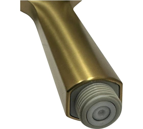 Лейка для душа Raiber золото RPG-21