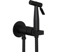 Смеситель с гигиеническим душем Paini круглый Castello Round встраиваемый, метал, черный CAYO442R 61252