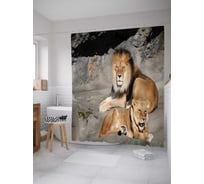 Штора (занавеска) для ванной JoyArty "Пара на отдыхе" из сатена, 180х200 см с крючками, sc_37580