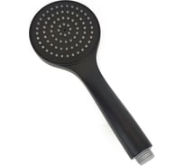 Душевая лейка ручная Paini TRYO155 Torino 100 мм, чёрный 61728