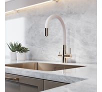 Смеситель для кухни ESKO Coral с подключением к фильтру, корпус золото, бежевый излив, арт. CL03GBG