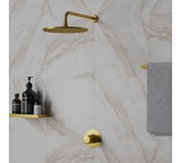 Верхний душ Paini 50PJ759TT25 круглый 250 мм, латунь, брашированное золото PVD 50597