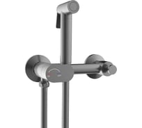 Гигиенический душ со смесителем RGW SP-216-Gr Серый браш (Смеситель/шланг/гигиенический душ/) 581408216-11