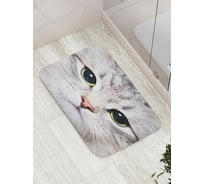 Коврик противоскользящий JoyArty "Суровый котик" для ванной, сауны, бассейна, bath_2736