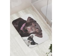 Коврик противоскользящий JoyArty "Собака и кот" для ванной, сауны, бассейна, bath_6552