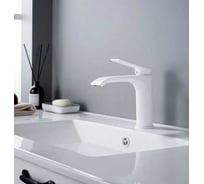 Смеситель для раковины Shevanik S4101C