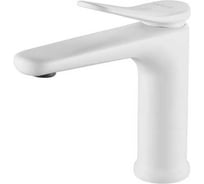 Смеситель для раковины Shevanik S4701C