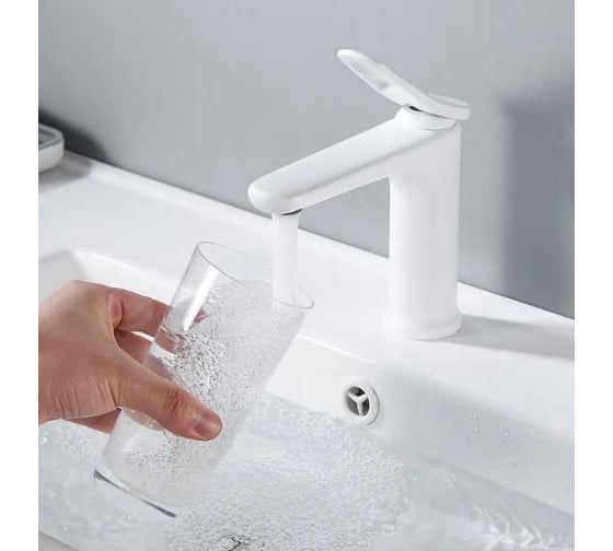 Смеситель для раковины Shevanik S4701C
