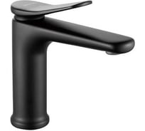 Смеситель для раковины Shevanik S4701H