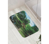 Коврик противоскользящий JoyArty "Королевское озеро" для ванной, сауны, бассейна, bath_17881