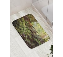 Коврик противоскользящий JoyArty "Мост в зарослях" для ванной, сауны, бассейна, bath_17892
