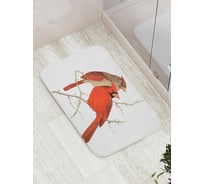 Коврик противоскользящий JoyArty "Заботливые пернатые" для ванной, сауны, бассейна, bath_3414