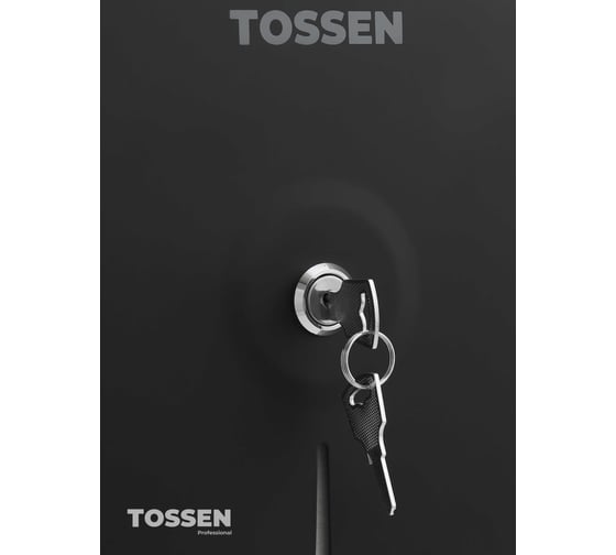 Диспенсер туалетной бумаги TOSSEN Professional TOSSEN D-525 MB - 211048