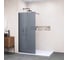 Душевая перегородка RGW 80x195 WA-010 B Чёрный/Тонированное(серое)/8 мм 351001008-34 1
