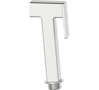 Лейка для гигиенического душа Wonzon & Woghand Брашированный никель WW-88PQ02-BN