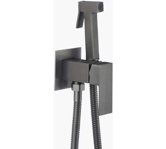Смеситель с гигиеническим душем D-Lin графит D183201-S 1