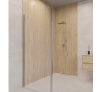 Боковая панель 100*195 Z-001 Хром/Прозрачное/6 мм (PA-11;12) RGW 352200110-11