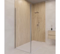 Боковая панель 120*190 Z-050-5 Хром/Прозрачное/6 мм RGW 352205512-11