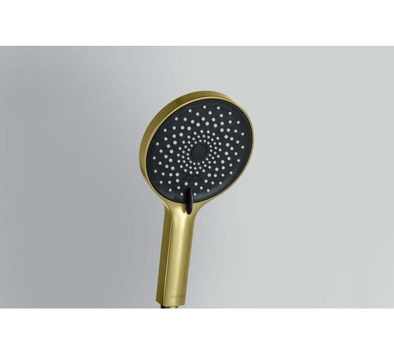 Ручной душ AQUATEK AQ2201BG ЛУГАНО шлифованное золото 00000145485