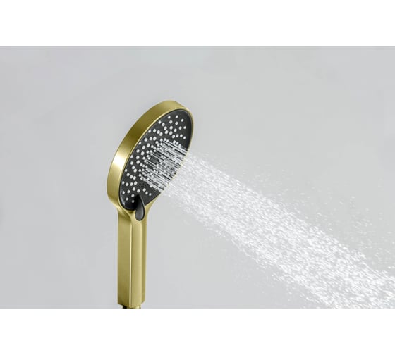 Ручной душ AQUATEK AQ2201BG ЛУГАНО шлифованное золото 00000145485