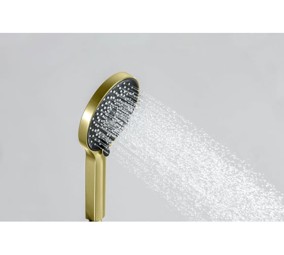 Ручной душ AQUATEK AQ2201BG ЛУГАНО шлифованное золото 00000145485